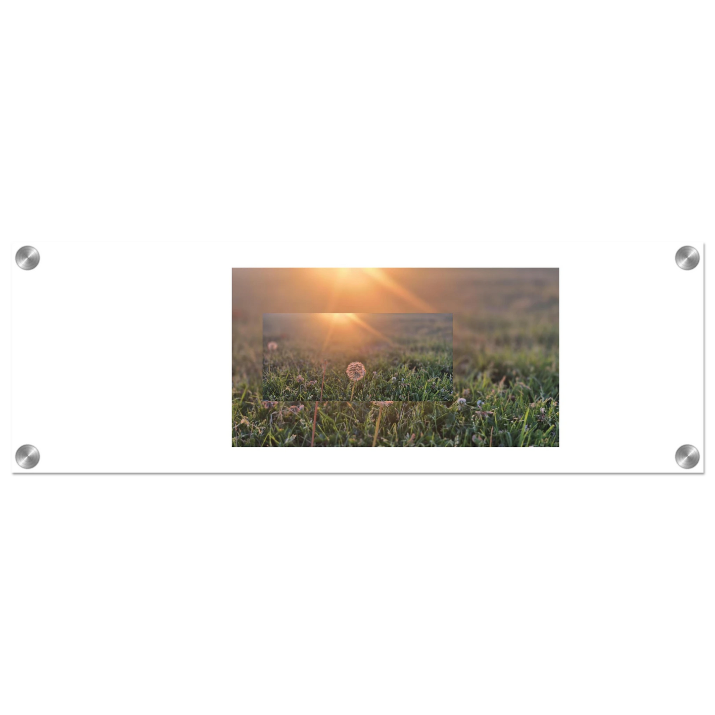 5b576862-33ca-45f6-ac29-de5bd3f5a3f2