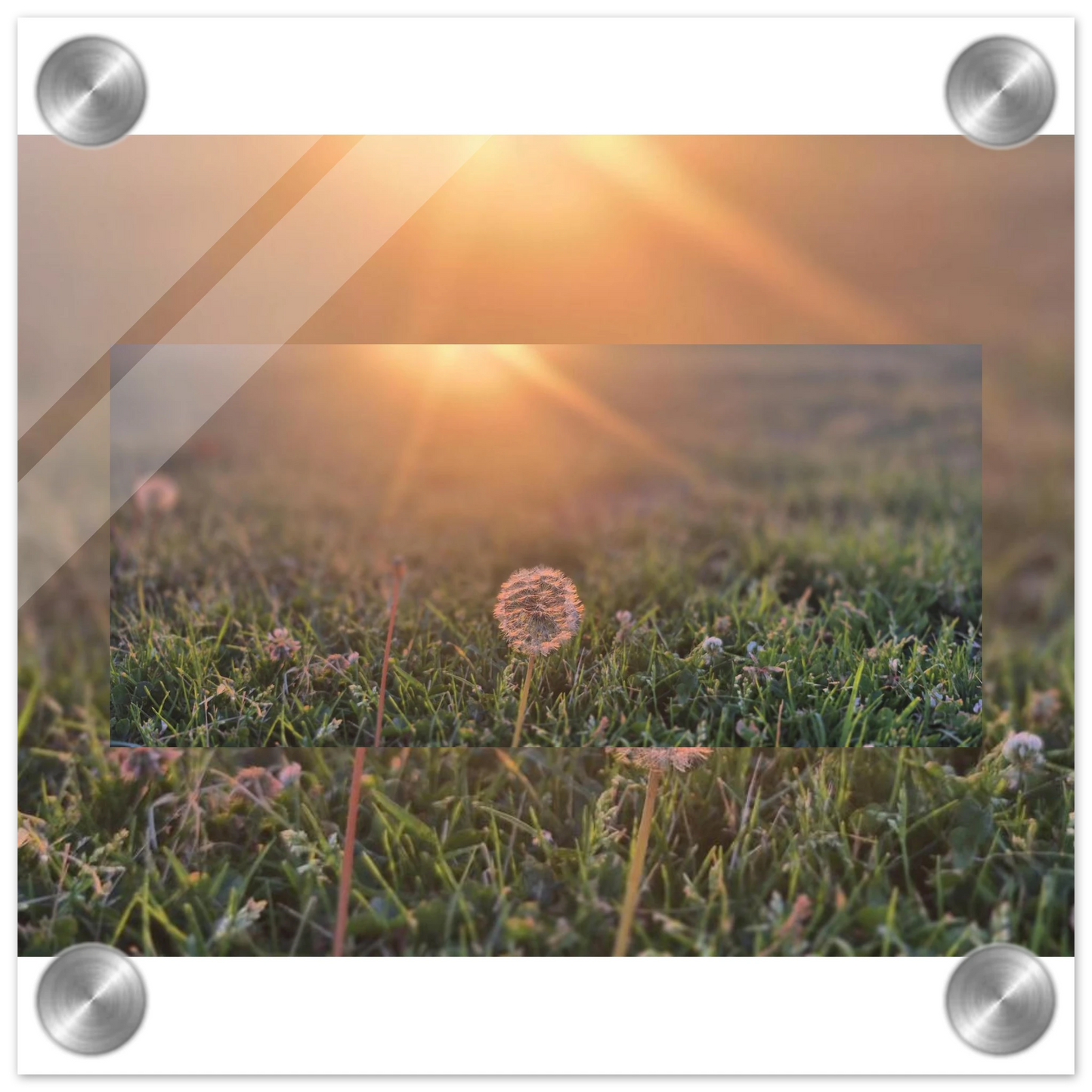 caec90c6-065d-4a44-9f7e-cc04eaca8779