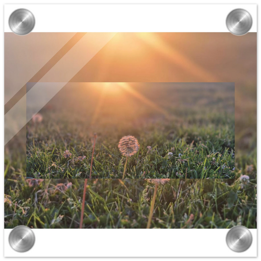 caec90c6-065d-4a44-9f7e-cc04eaca8779